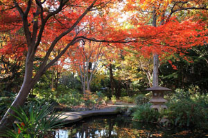 【豊島園 庭の湯】日本庭園