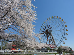 【東武動物公園】エマさんのチーズ風車